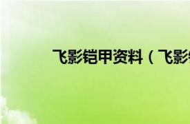 飞影铠甲资料（飞影铠甲相关内容简介介绍）