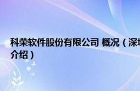 科荣软件股份有限公司 概况（深圳市科荣软件股份有限公司相关内容简介介绍）