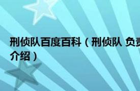 刑侦队百度百科（刑侦队 负责刑事侦缉的专门队伍相关内容简介介绍）