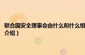 联合国安全理事会由什么和什么组成（联合国安全理事会改革相关内容简介介绍）