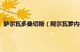 萨尔瓦多桑切斯（阿尔瓦罗内格雷多桑切斯相关内容简介介绍）