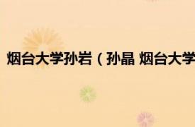 烟台大学孙岩（孙晶 烟台大学人文学院教授相关内容简介介绍）