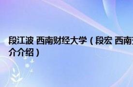 段江波 西南财经大学（段宏 西南交通大学经济管理学院副教授相关内容简介介绍）