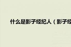 什么是影子经纪人（影子经纪人 游戏相关内容简介介绍）