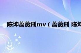 陈坤蔷薇刑mv（蔷薇刑 陈坤演唱的歌曲相关内容简介介绍）