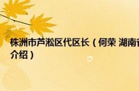 株洲市芦淞区代区长（何荣 湖南省株洲市芦淞区民政局局长相关内容简介介绍）