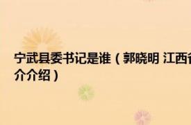 宁武县委书记是谁（郭晓明 江西省武宁县武宁县人民政府县长相关内容简介介绍）