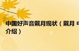 中国好声音戴月现状（戴月 中国好声音第一季选手相关内容简介介绍）