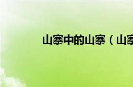 山寨中的山寨（山寨版相关内容简介介绍）