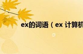 ex的词语（ex 计算机词语相关内容简介介绍）