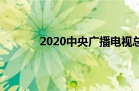 2020中央广播电视总台春节联欢晚会完整版