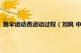 跳伞运动员运动过程（刘飒 中国跳伞运动员相关内容简介介绍）