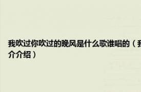 我吹过你吹过的晚风是什么歌谁唱的（我吹过你吹过的晚风 安泩演唱的歌曲相关内容简介介绍）