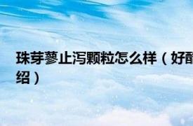 珠芽蓼止泻颗粒怎么样（好酷娃珠芽蓼止泻颗粒相关内容简介介绍）