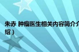 朱赤 肿瘤医生相关内容简介介绍（朱赤 肿瘤医生相关内容简介介绍）