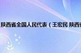 陕西省全国人民代表（王宏民 陕西省人民代表大会代表相关内容简介介绍）