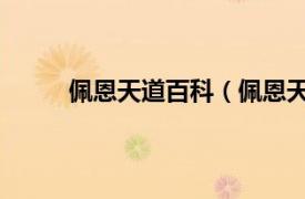 佩恩天道百科（佩恩天道超 相关内容简介介绍）