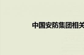 中国安防集团相关内容简介介绍怎么写