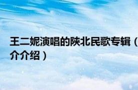 王二妮演唱的陕北民歌专辑（陕北人 王二妮演唱歌曲相关内容简介介绍）