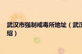 武汉市强制戒毒所地址（武汉市强制戒毒劳教所相关内容简介介绍）