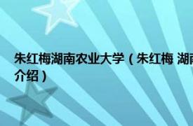 朱红梅湖南农业大学（朱红梅 湖南大学马克思主义学院教授相关内容简介介绍）