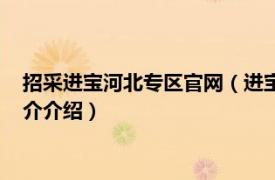 招采进宝河北专区官网（进宝网络科技河北有限公司相关内容简介介绍）