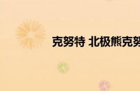 克努特 北极熊克努特相关内容简介介绍