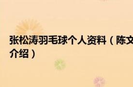 张松涛羽毛球个人资料（陈文涛 中国羽毛球运动员相关内容简介介绍）