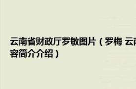 云南省财政厅罗敏图片（罗梅 云南省财政厅总经济师、二级巡视员相关内容简介介绍）