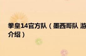 拳皇14官方队（墨西哥队 游戏《拳皇14》的战队相关内容简介介绍）