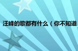 汪峰的歌都有什么（你不知道 汪峰演唱歌曲相关内容简介介绍）