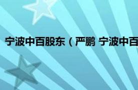 宁波中百股东（严鹏 宁波中百副董事长董事相关内容简介介绍）