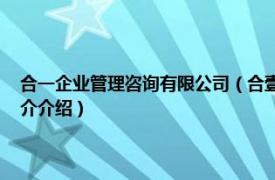 合一企业管理咨询有限公司（合壹智业品牌管理 上海有限公司相关内容简介介绍）