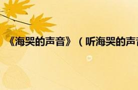 《海哭的声音》（听海哭的声音 网络大电影相关内容简介介绍）