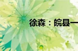 徐森：皖县一中高级教师简介