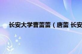 长安大学曹蕾蕾（唐蕾 长安大学副教授相关内容简介介绍）