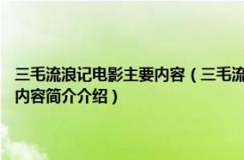 三毛流浪记电影主要内容（三毛流浪记 1980年虞戡平执导的香港电影相关内容简介介绍）