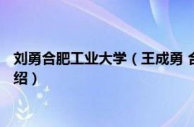 刘勇合肥工业大学（王成勇 合肥工业大学副教授相关内容简介介绍）