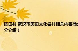 陈田村 武汉市历史文化名村相关内容简介介绍（陈田村 武汉市历史文化名村相关内容简介介绍）