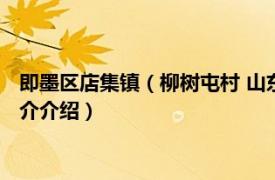 即墨区店集镇（柳树屯村 山东省即墨市店集镇下辖村相关内容简介介绍）