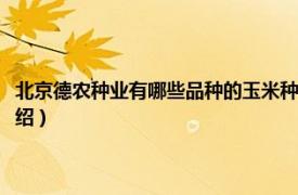 北京德农种业有哪些品种的玉米种（北京德农种业有限公司相关内容简介介绍）