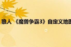 狼人 《魔兽争霸3》自定义地图Dota中的英雄相关内容简介介绍