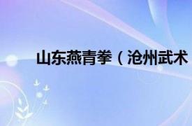 山东燕青拳（沧州武术 燕青拳相关内容简介介绍）