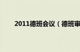 2011德班会议（德班审议大会相关内容简介介绍）