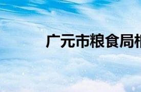 广元市粮食局相关内容简介介绍