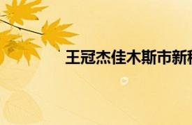 王冠杰佳木斯市新程铮艺术学校校长简介