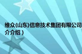 维众(山东)信息技术集团有限公司（山东维世网络科技有限公司相关内容简介介绍）