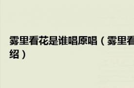 雾里看花是谁唱原唱（雾里看花 容祖儿演唱歌曲相关内容简介介绍）