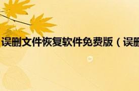 误删文件恢复软件免费版（误删文件恢复软件相关内容简介介绍）