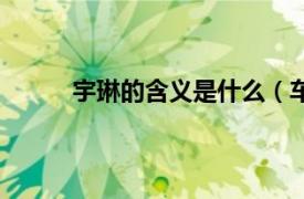 宇琳的含义是什么（车宇琳相关内容简介介绍）